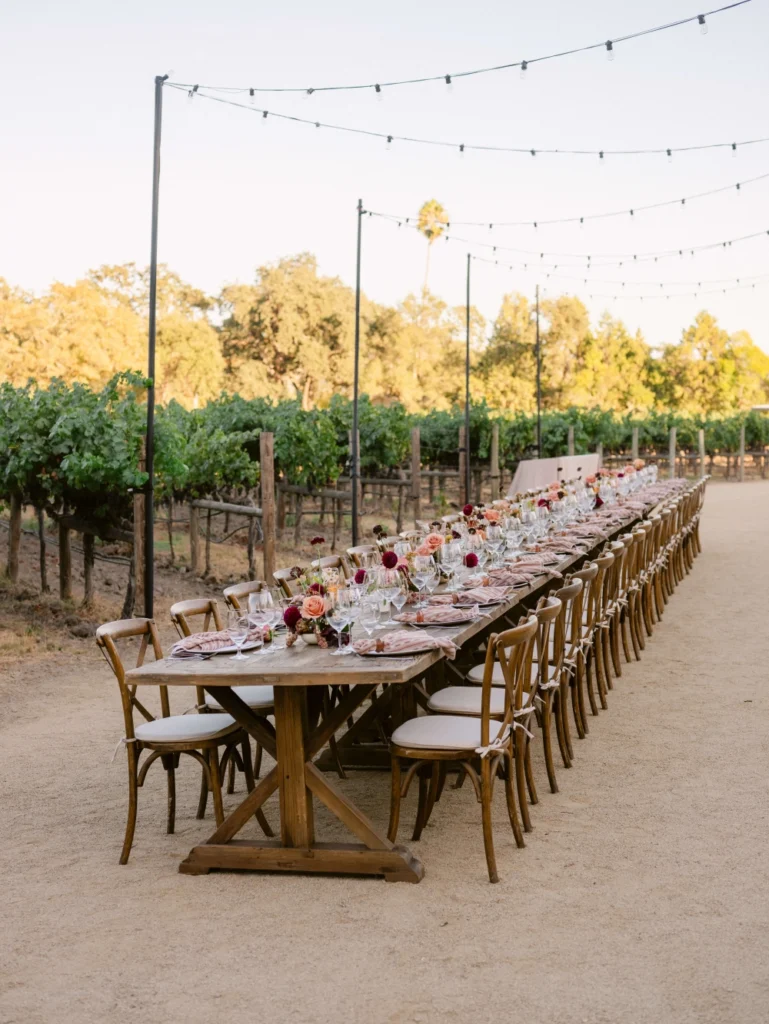 Luxury vineyard dinner