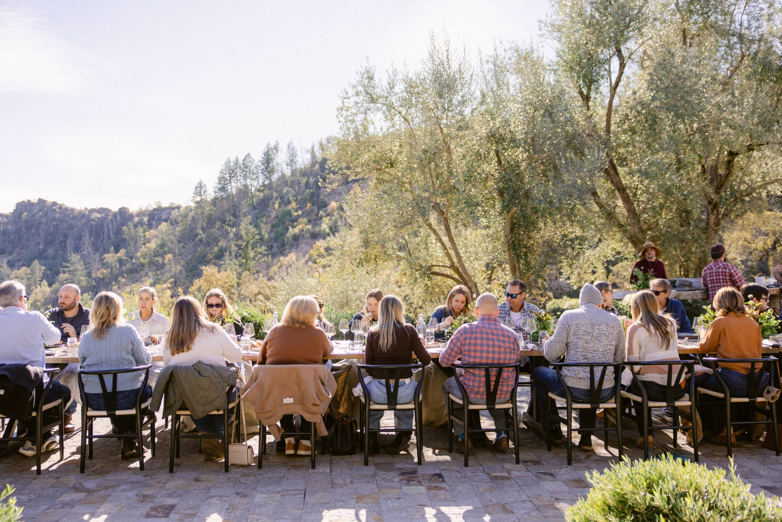 Winery dining guests